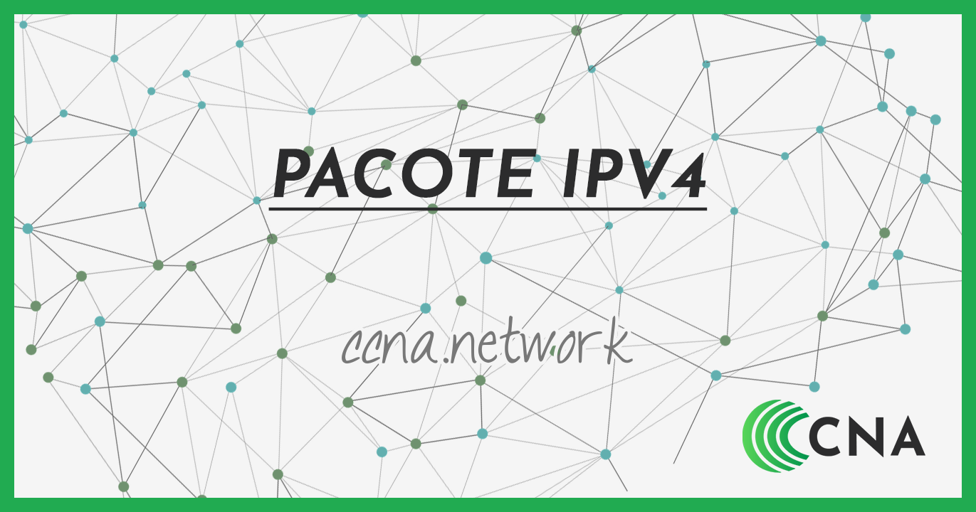 Pacote IPv4